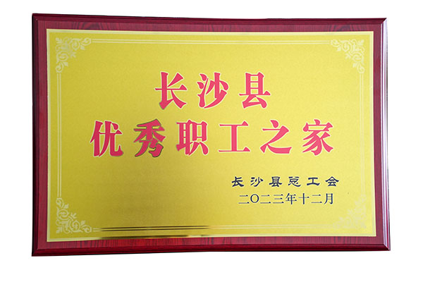 頂立工會榮獲“長沙縣優(yōu)秀職工之家”稱號.jpg